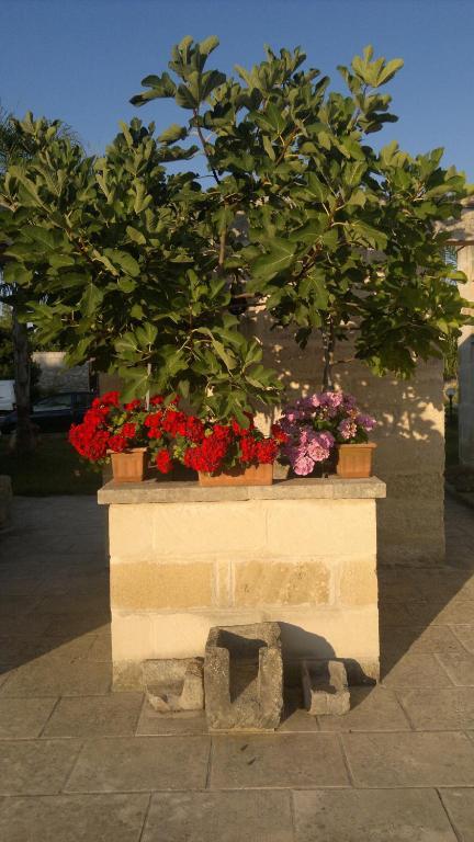 Masseria Grande Hotell Torre dell'Orso Exteriör bild